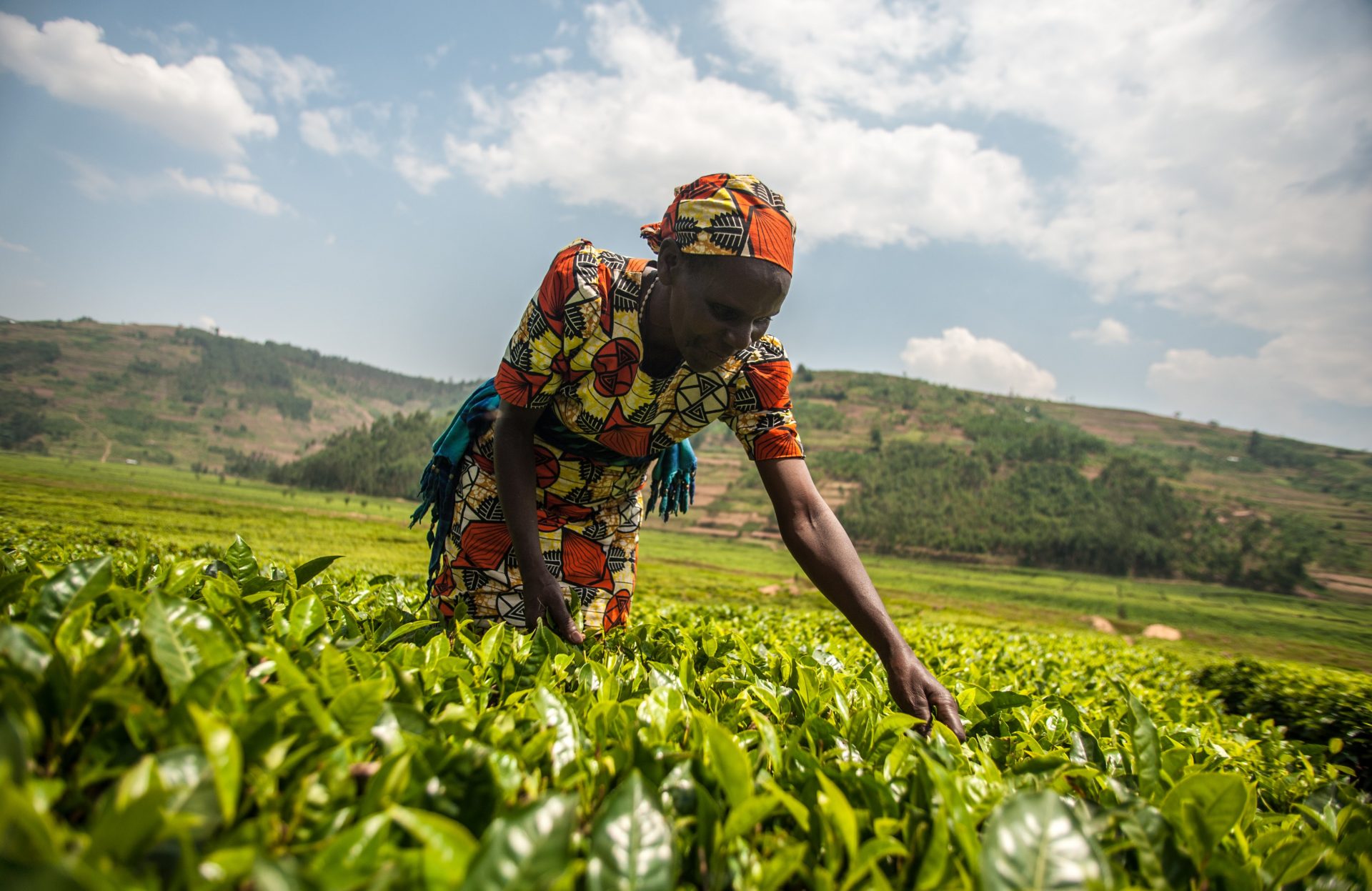 Économie circulaire et recyclage en Afrique
